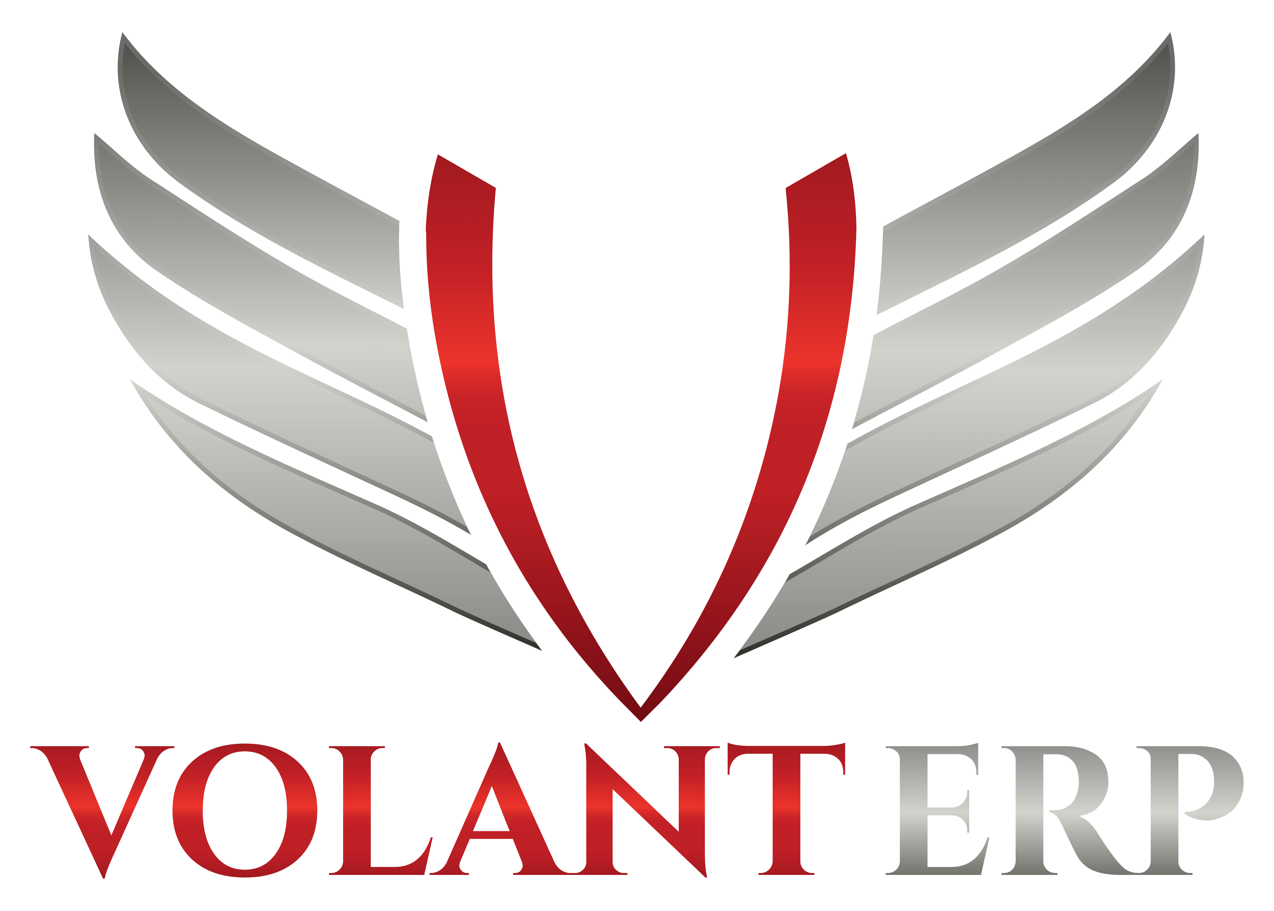Volant ERP